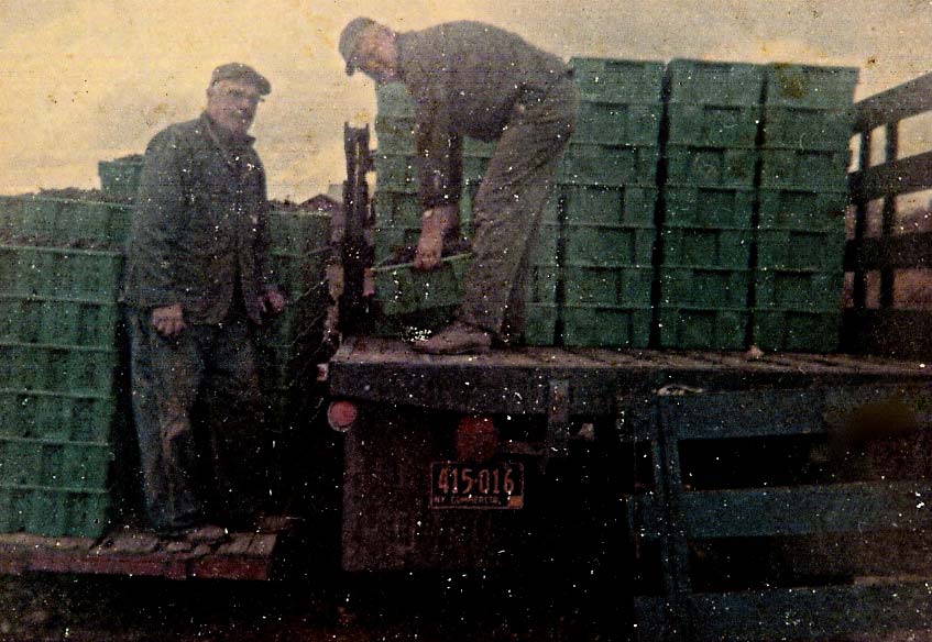 Herbert Richter and son, John, loading grapes